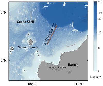 Sedimentary biogeochemical gradients across the Sunda Shelf in the South China Sea and correlations with satellite observations